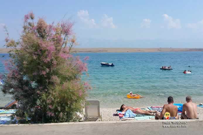 Uživanje djevojke i mladića na sunčanoj plaži