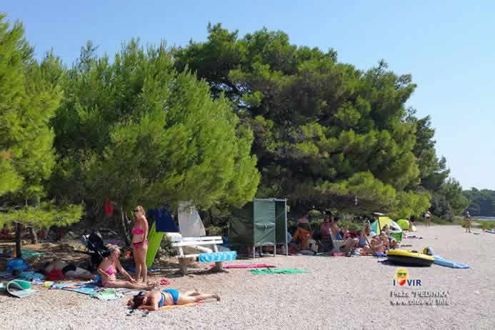 Borova šuma sa prostorom za presvlačnje pokraj plaže