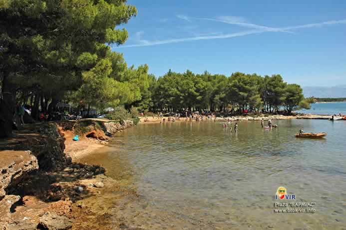 Pješćana plaža pored borove šume