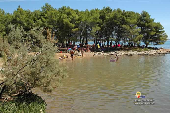 Pješćana oaza na plaži Sapavac okružena borovom šumom