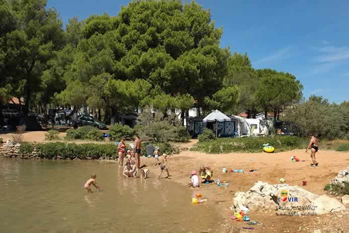 Djeca se kupaju i igraju na pješčanoj plaži pored borove šume