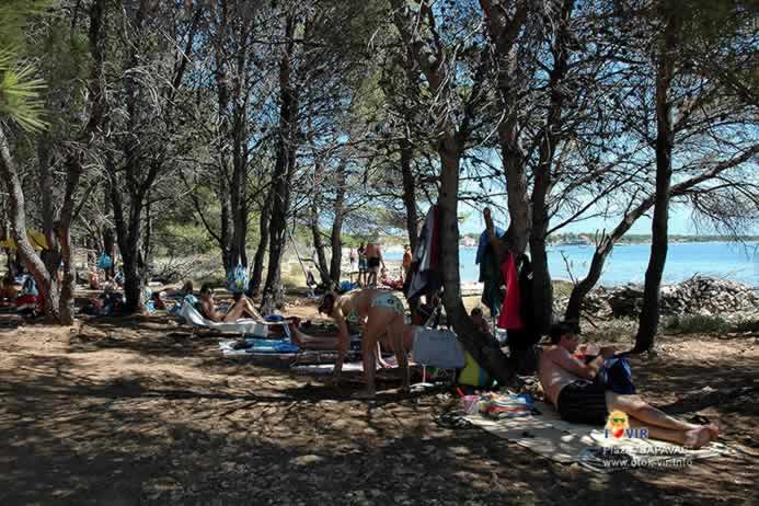 Duboka Hladovina u borovoj šumi s turistima