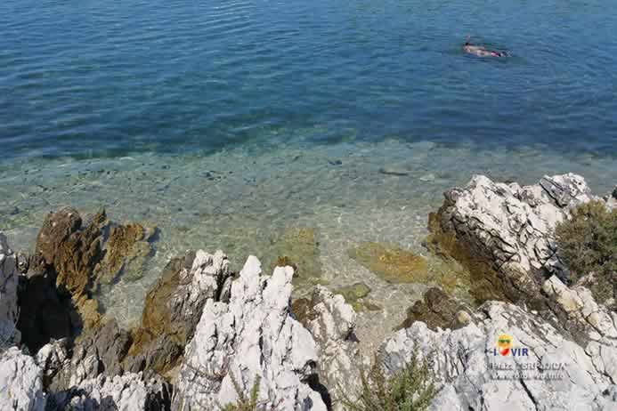 Ronjenje u moru kod plaže Srpljica na otoku Viru