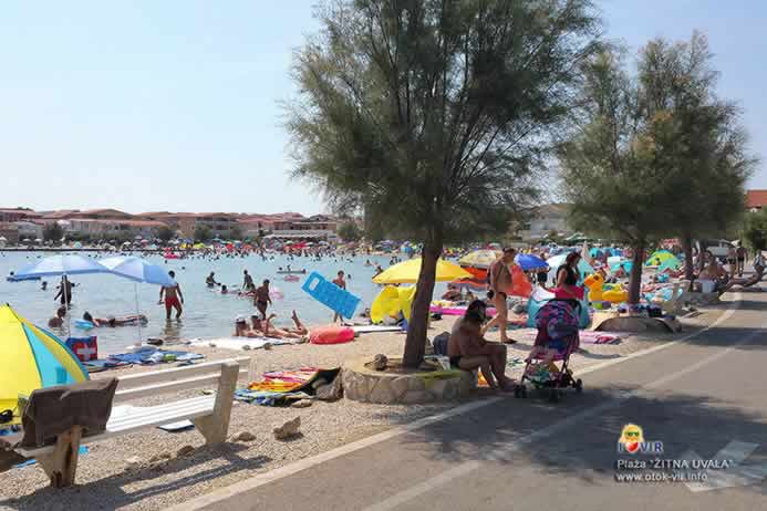 Drvored tamarisa uz asfaltiranu cestu s kupačima na plaži