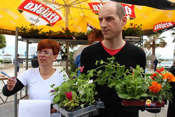 Besplatna podjela sadnica cvijeća na otoku Viru